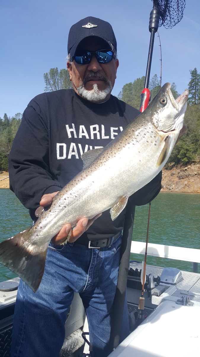 Gary from San Jose  California  with a lake shasta brown trout