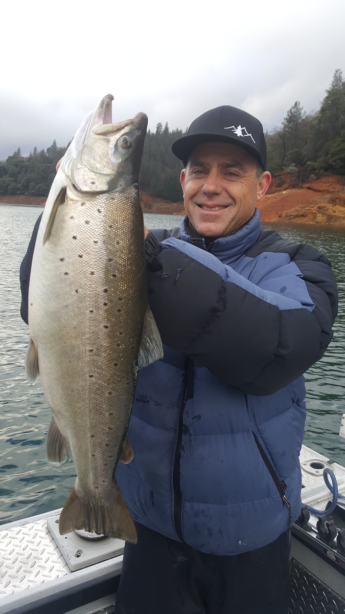 Rainy day brown trout on shasta