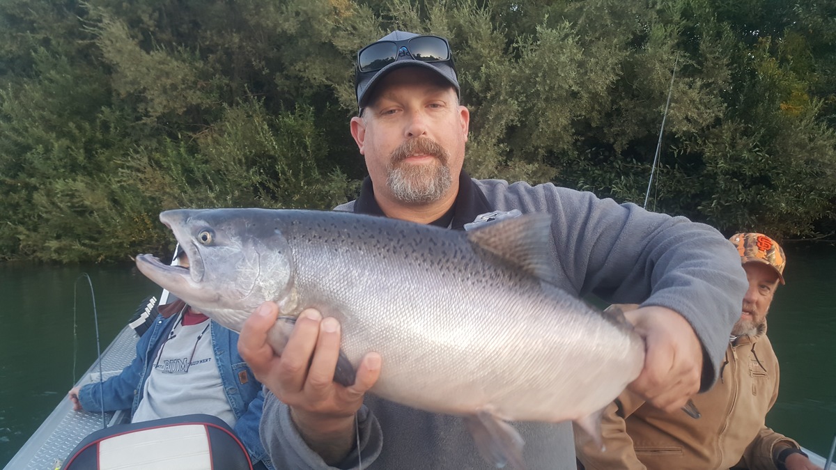 August feather  river king salmon