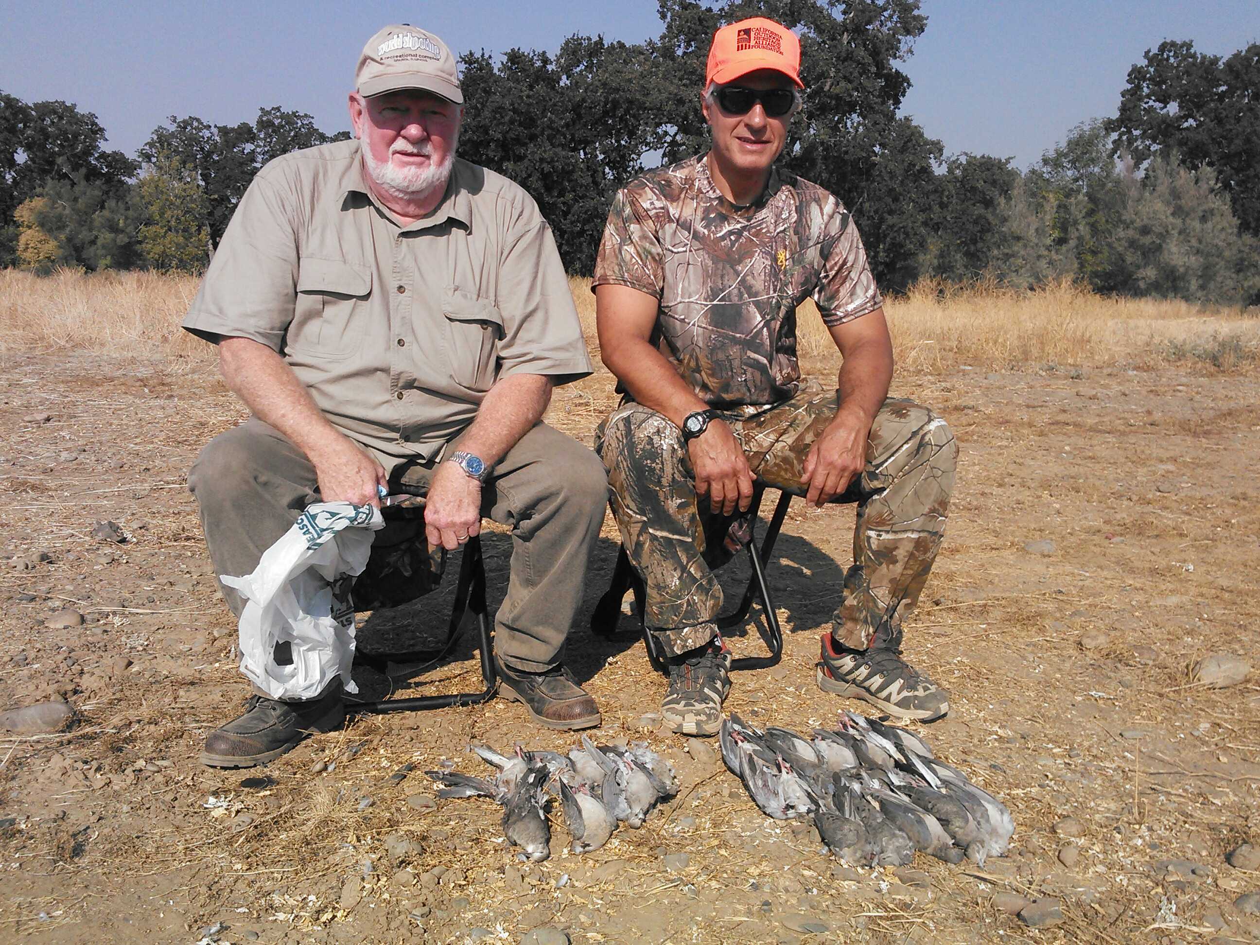 Northern California  dove hunts