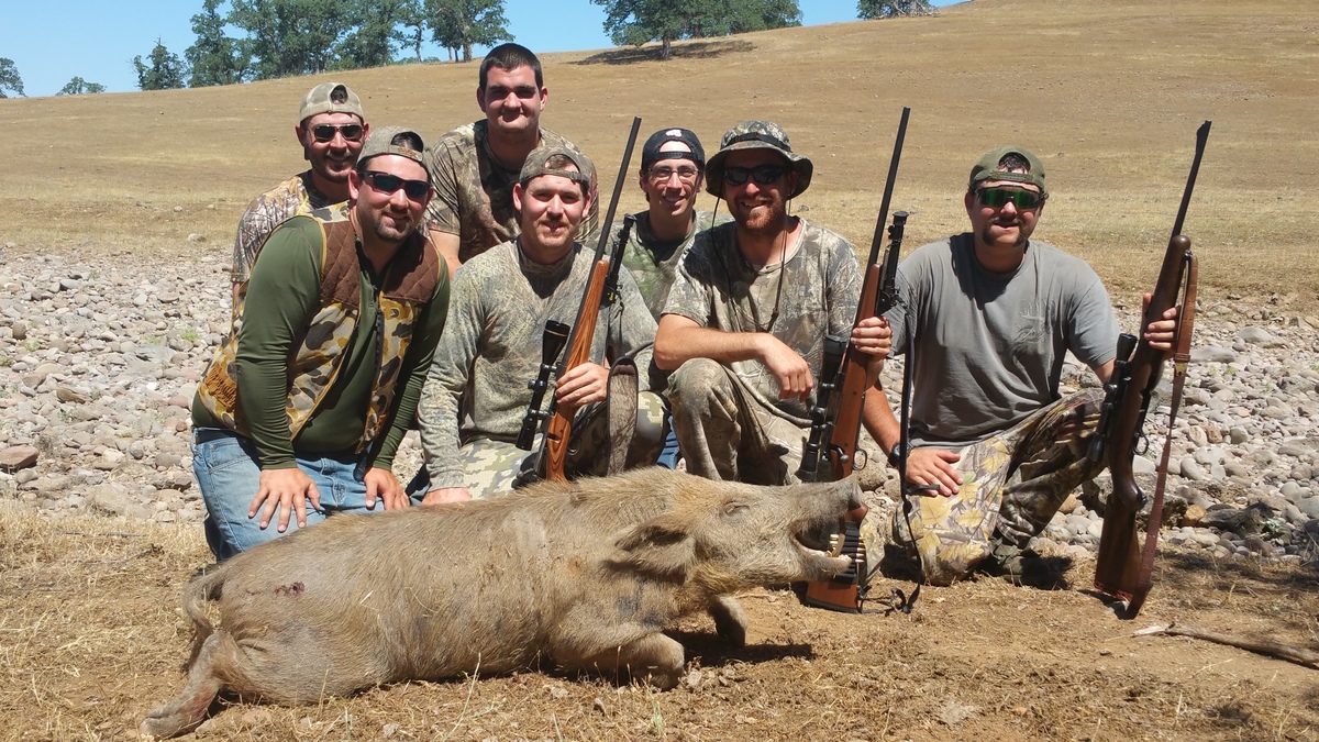 Pig hunting in California 