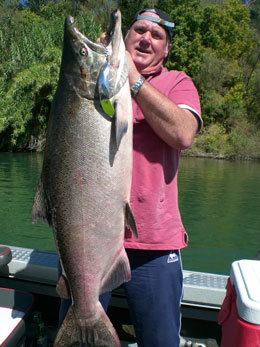 42 pounder Sacramento river with a flatfish 