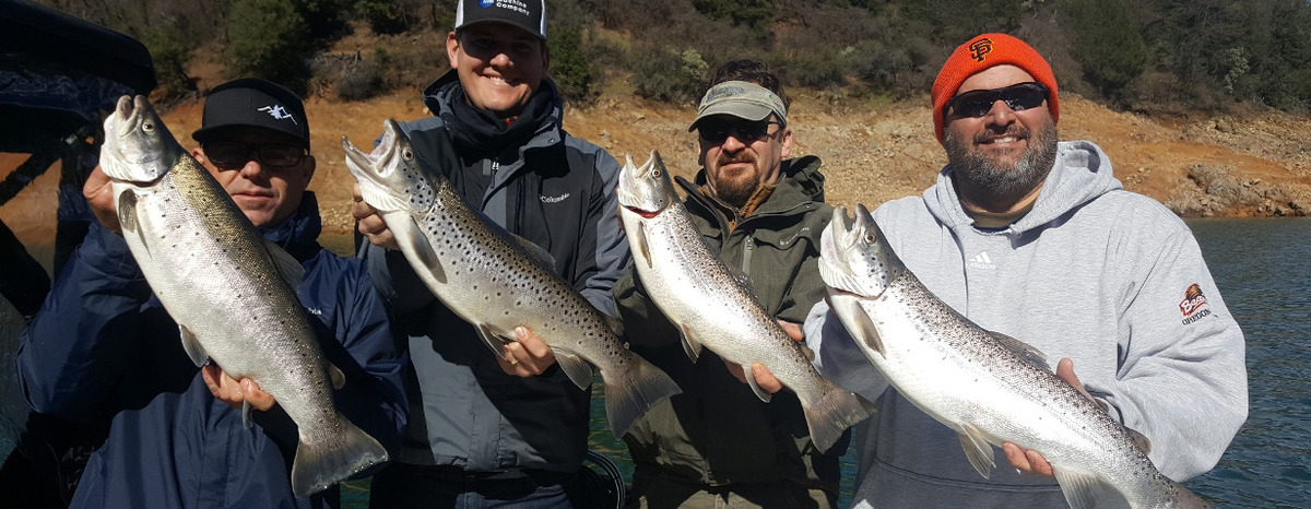 Big Shasta lake brown trout 