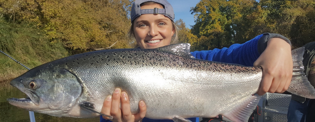 Nov Dec Sacramento river king salmon fishing 