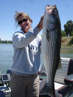 Sacramento River bass fishing