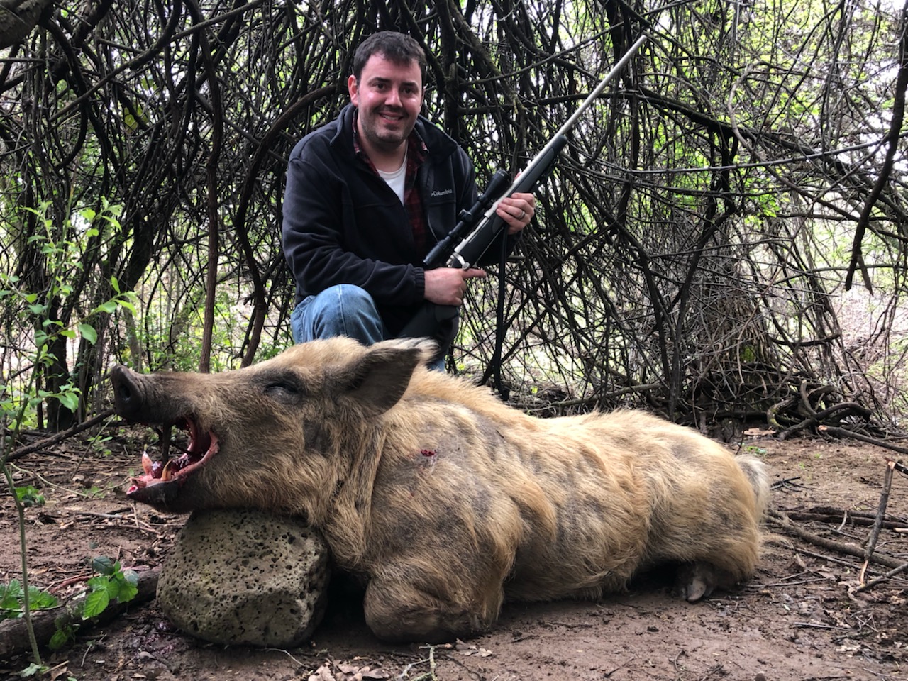 California wild boar hunting