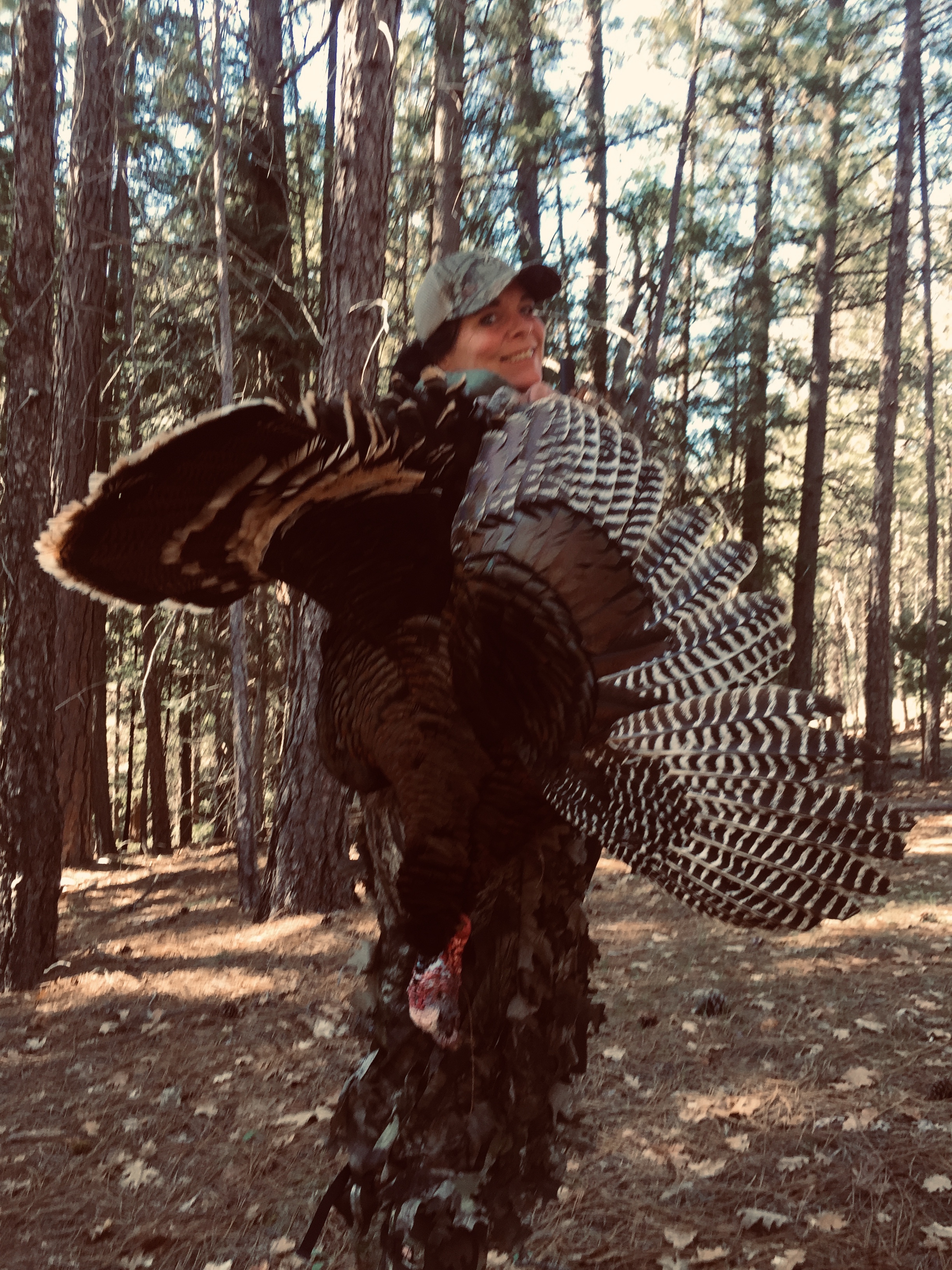 Guided California turkey hunting