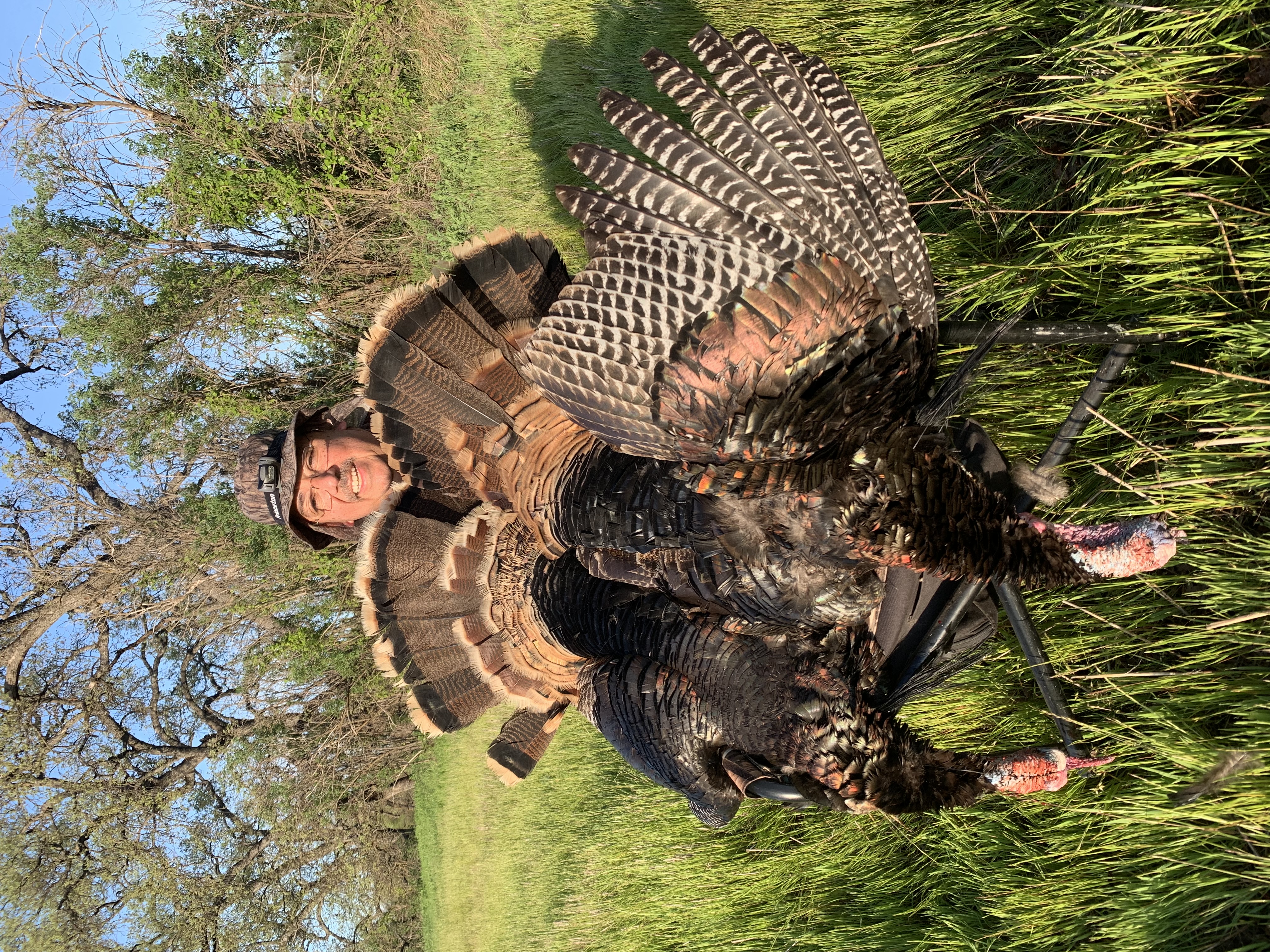 Turkey hunting in California 