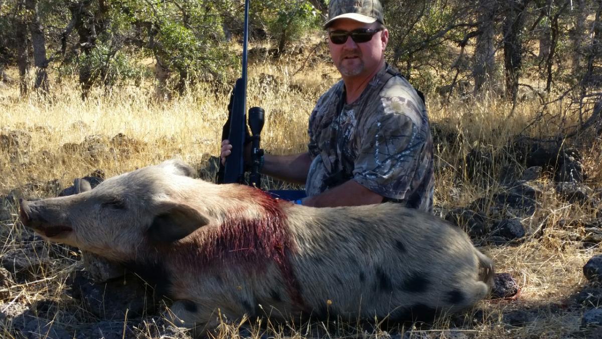 Guided hog hunting