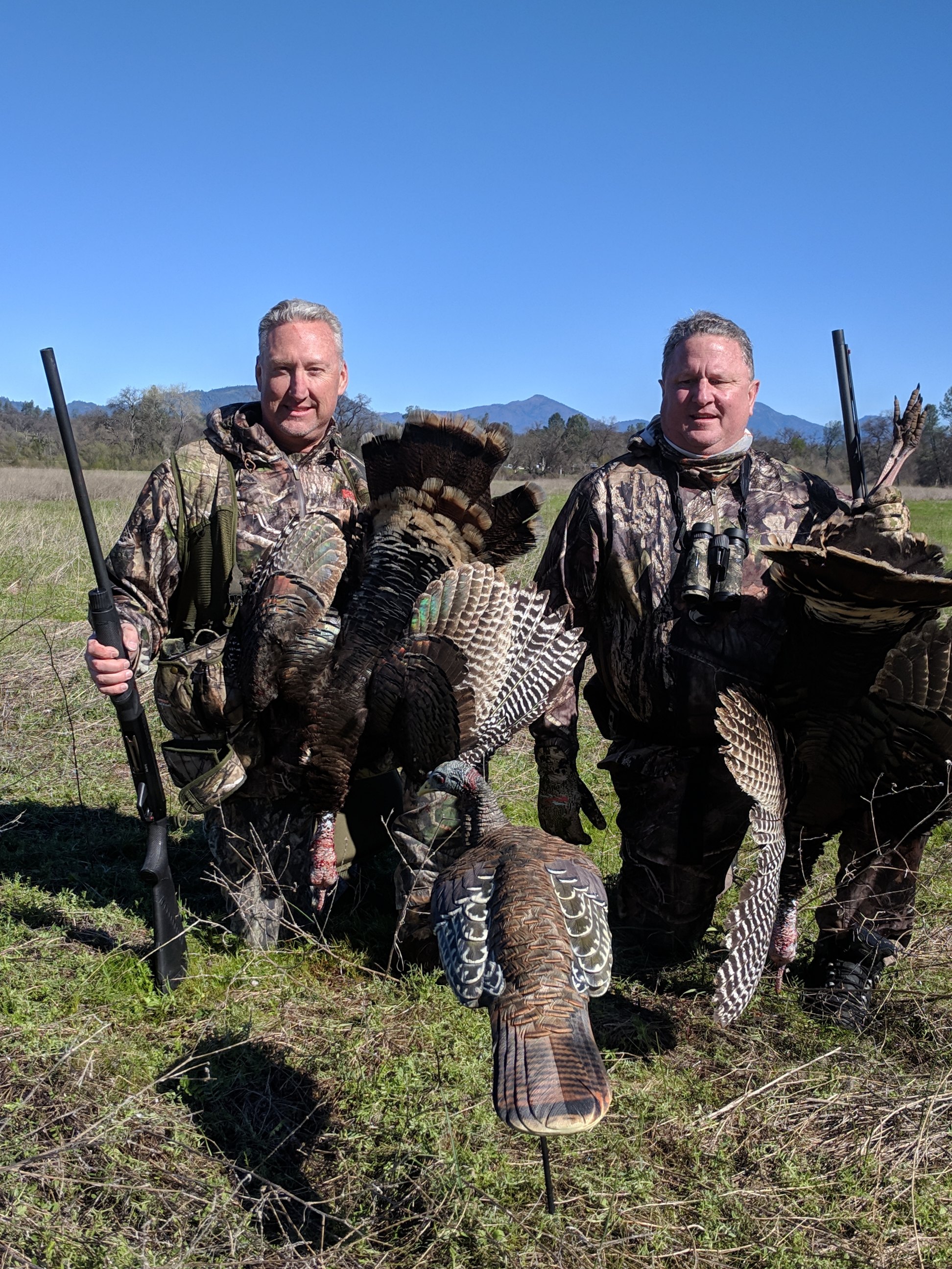 California Turkey  hunting