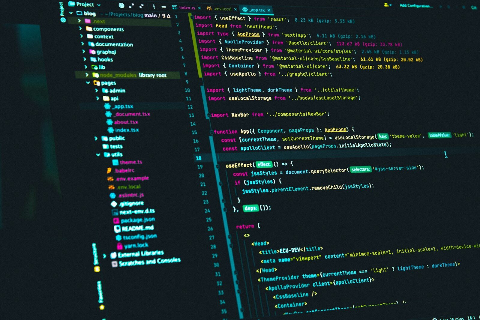 Custom Application Development