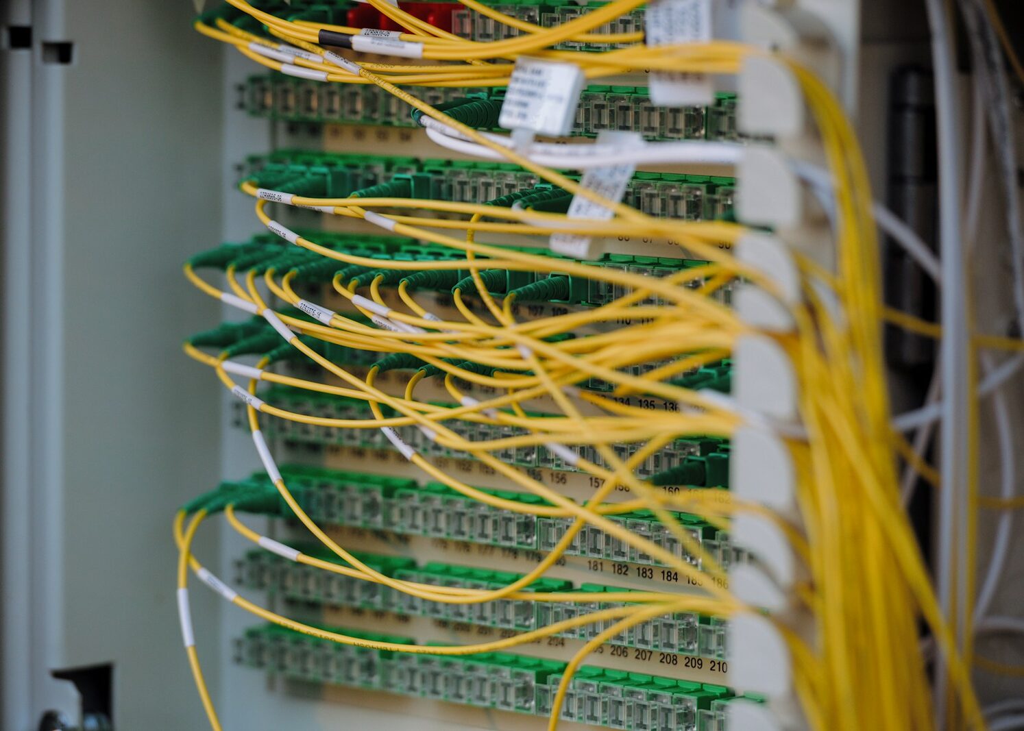 Web & Email Hosting